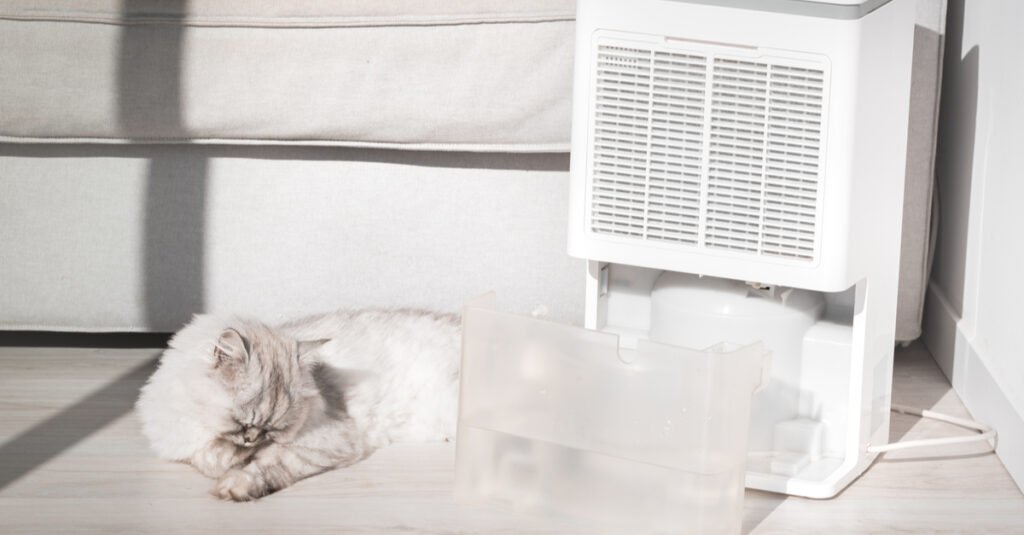 How Quickly Should a Dehumidifier Fill Up?