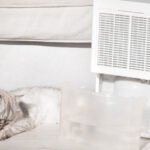 How Quickly Should a Dehumidifier Fill Up?