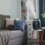How to Clean a Homedics Humidifier