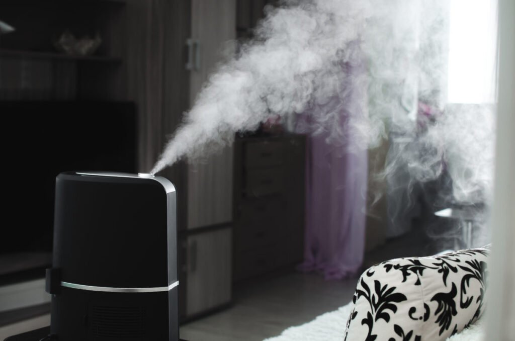 What’s an Ionizer Humidifier? We’re Here to Clear the Air