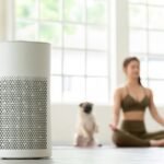 How to Tell if Air Purifier Is Working