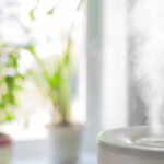 Humidifier spreading steam