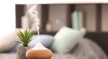 8 Best Small Humidifiers for Your Home