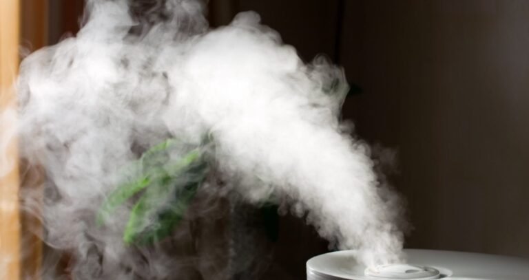 Benefits of a Humidifier