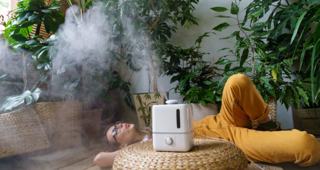 Care for houseplants: using air humidifier at home to keep humidity and indoor plants health concept