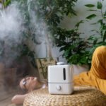 Care for houseplants: using air humidifier at home to keep humidity and indoor plants health concept
