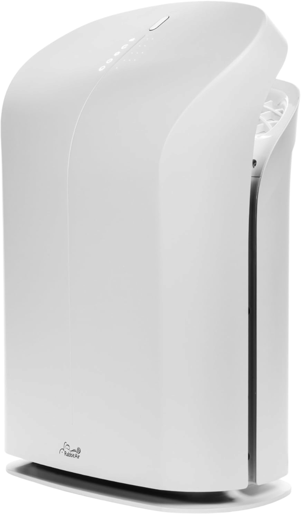Photo of the Rabbit Air BioGS 2.0