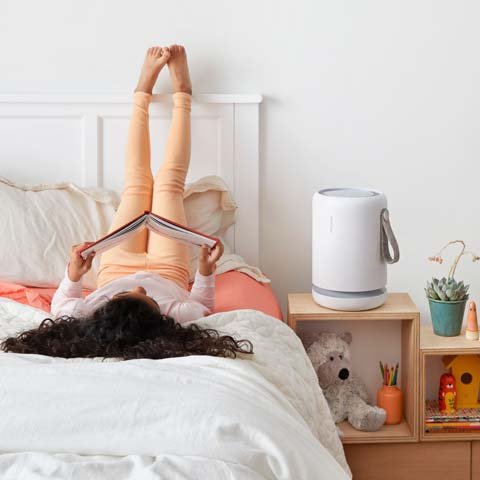 molekule air mini purifier