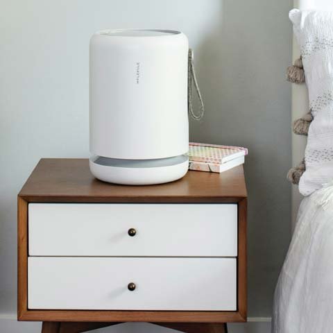 molekule air mini review