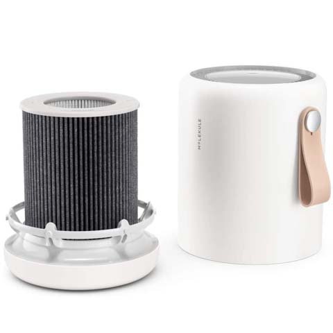 molekule mini filters